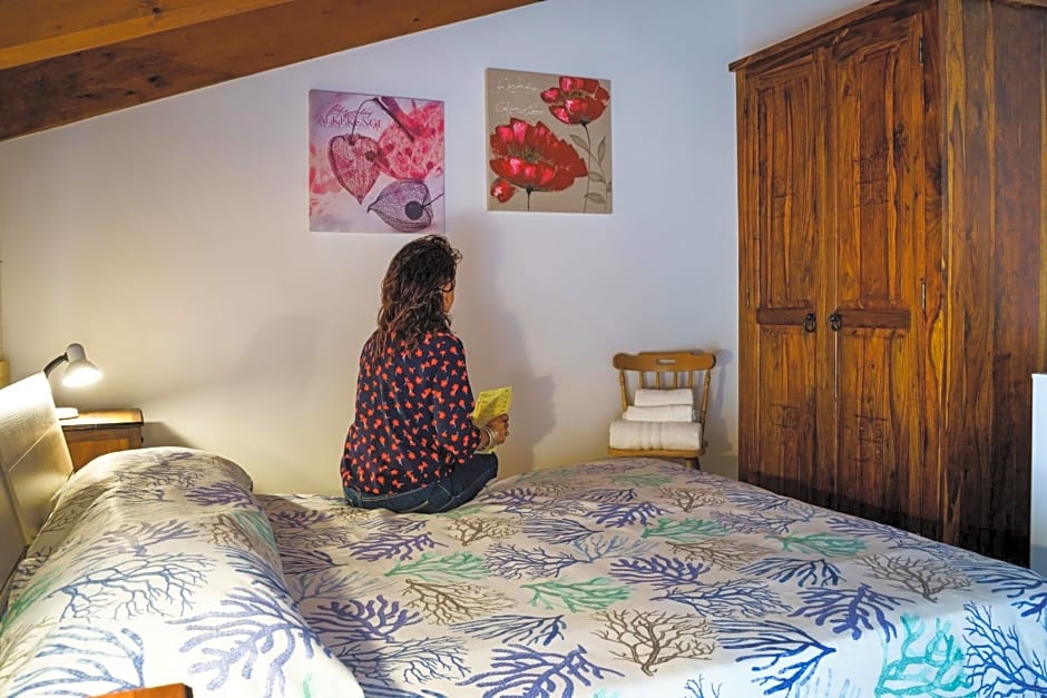 Sansi´s Sapri Camere