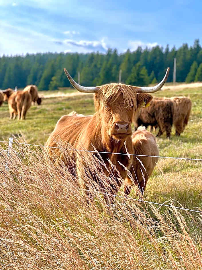 Bouda Klínovka