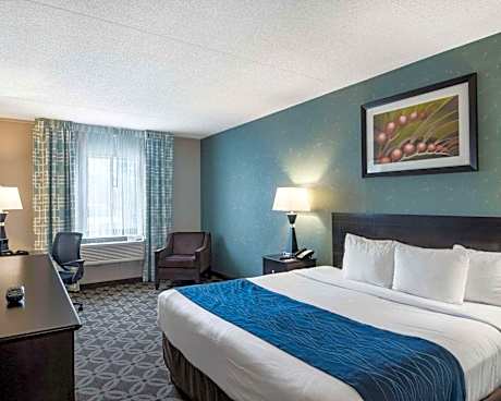 One King Accessible Room