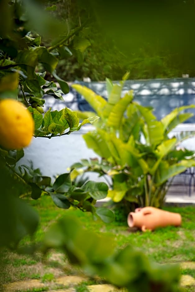 Dear Mary, B&B romantico vicino Lecce nel cuore del Salento