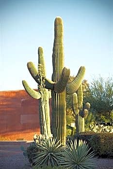 Arizona Christian University Hotel & Conference Center