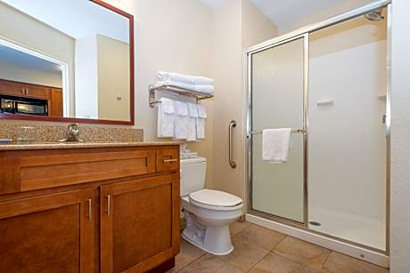 1 Bedroom Suite Walk In Shower