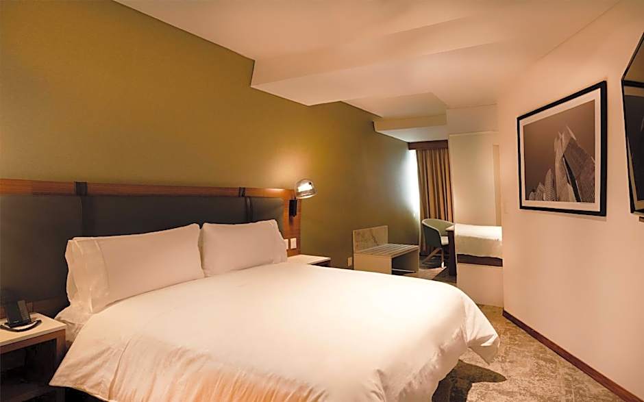 Hilton Garden Inn Mexico City Polanco