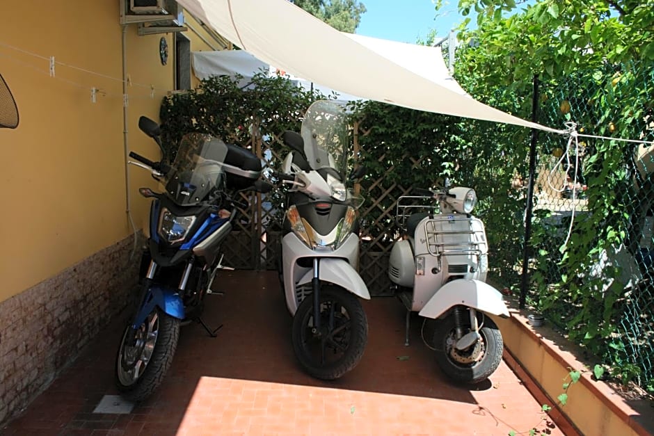 B&B Tifeo