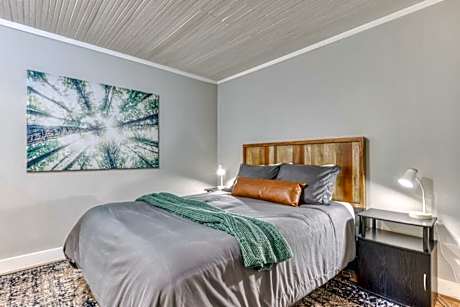 Deluxe One-Bedroom Apartment