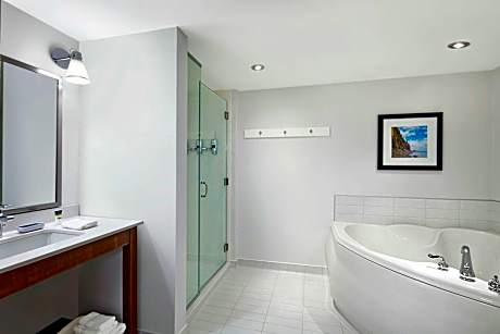 One-Bedroom King Suite with Sofa Bed