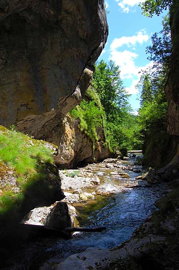 Complexul Turistic Cheile Butii