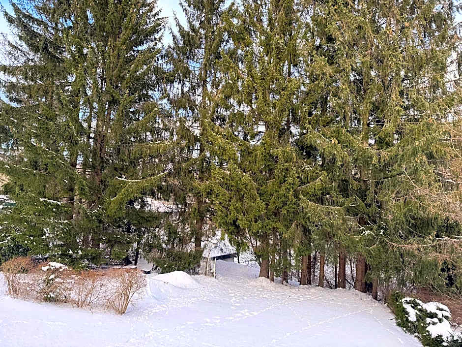 Primum Hotel Braunlage