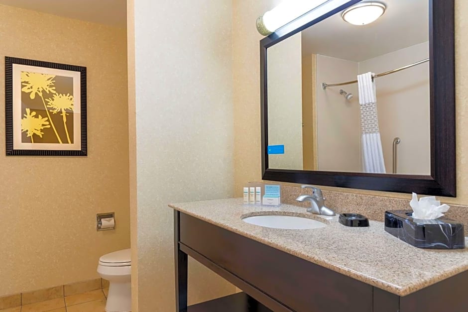 Hampton Inn By Hilton Detroit Roseville