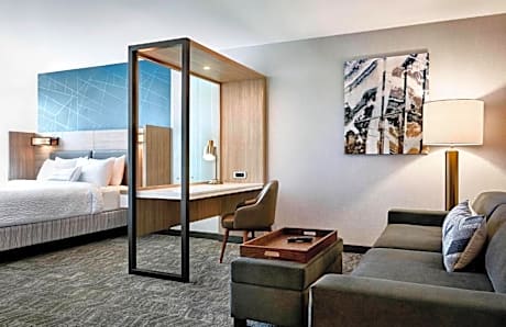 Suite, 1 King, Sofa bed, Trundle bed
