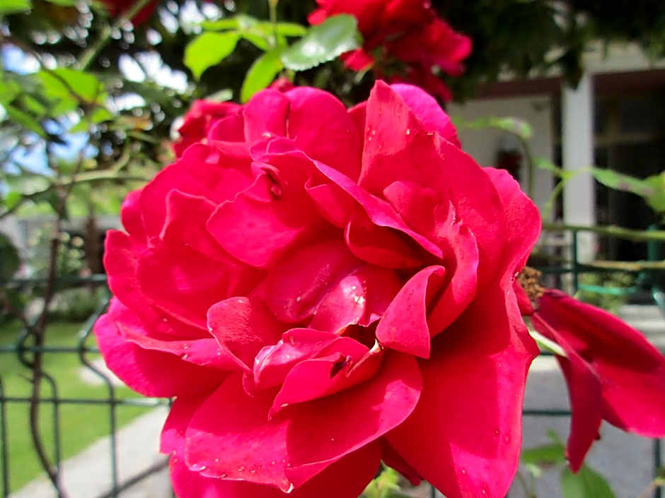 B&B Casa Roman & Vakantiewoning voor 1 pers tot max 32 personen