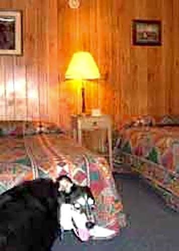 Sage and Sand Motel