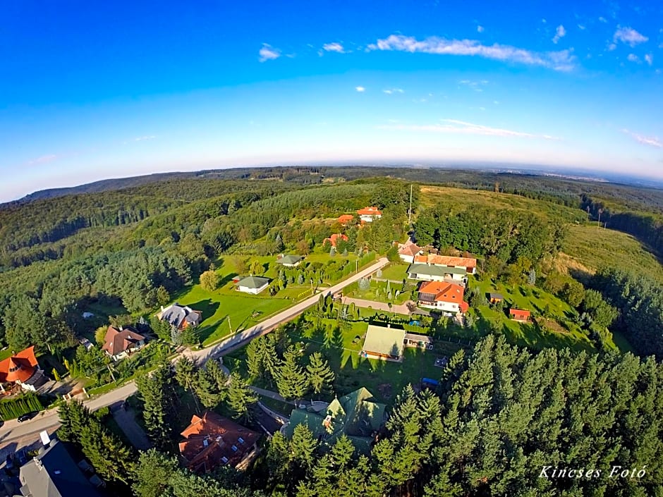 Gosztola Gyöngye-az erdő szállodája