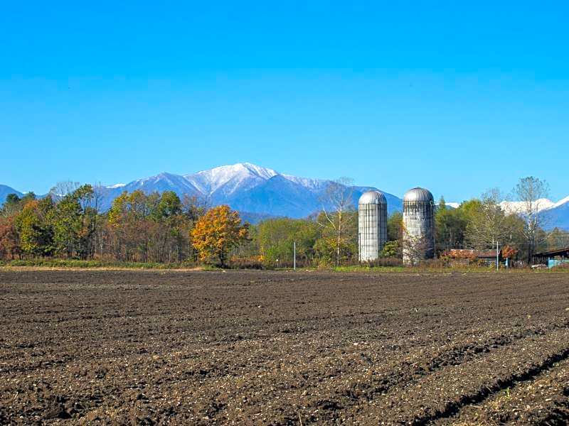 Guesthouse Canterbury