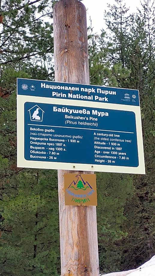 Free SPA в Св. Иван Рилски - Сладък дом сред лукс