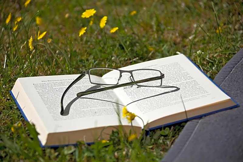 Nationalparkhotel Kranichrast