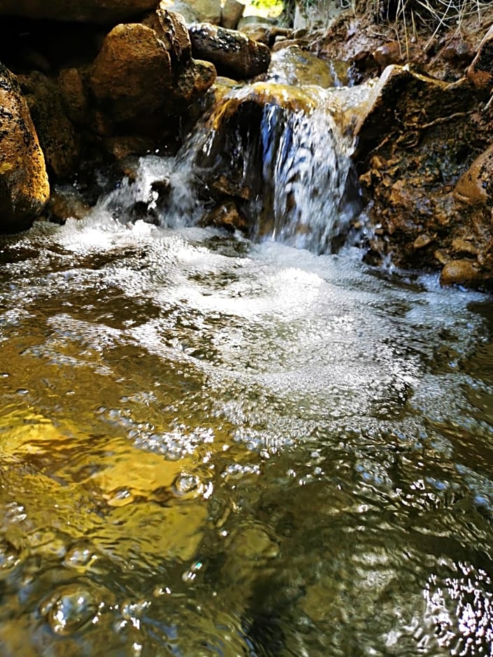 L'étang de la Tourne