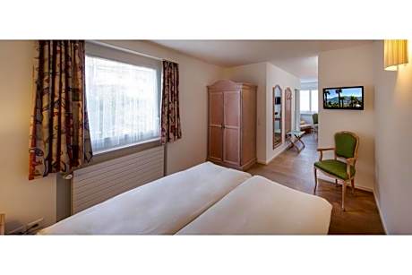 Budget Double or Twin Room with Mountain View