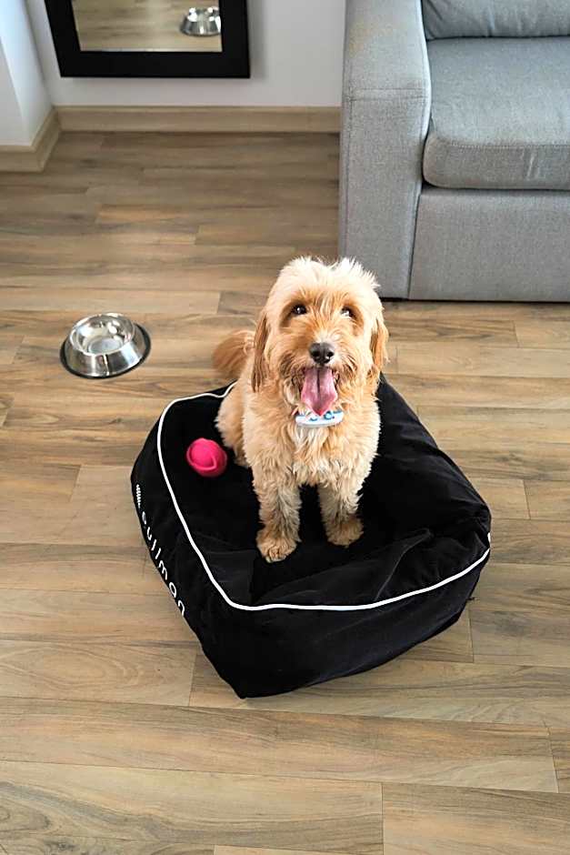 Hotel Pullman Vina del Mar San Martin (ex Atton)