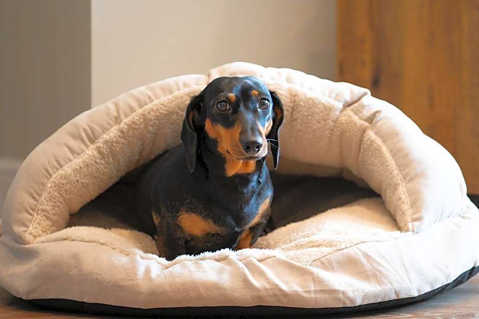 Crown and Cushion Appleby