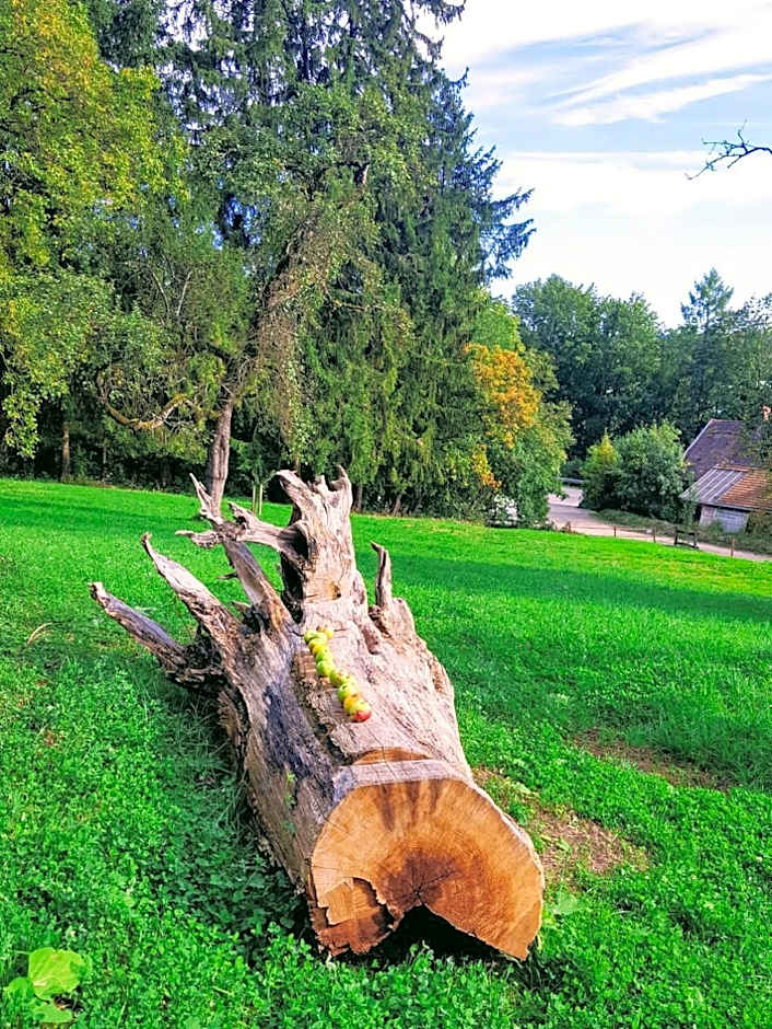 Sunhill Appartments, klimatisiert