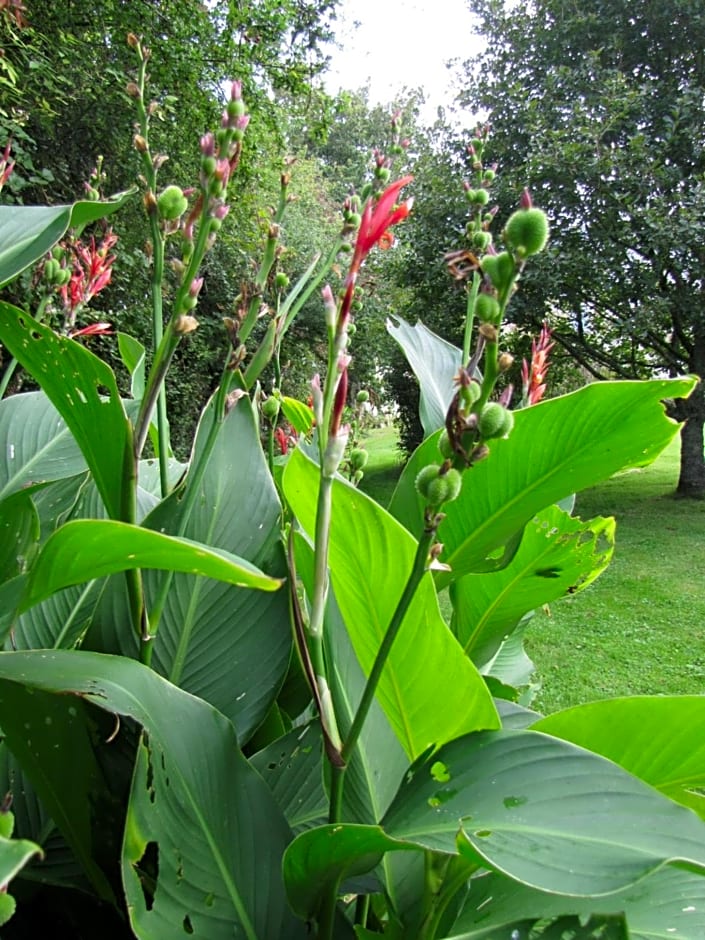 Ludothèque chambres et table d'hôtes de La Becterie
