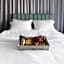 LIV URBAN Suites