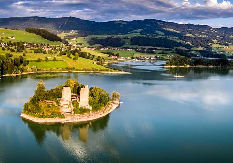 Hôtel Restaurant le Gruyérien