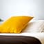 Nerva Accommodation