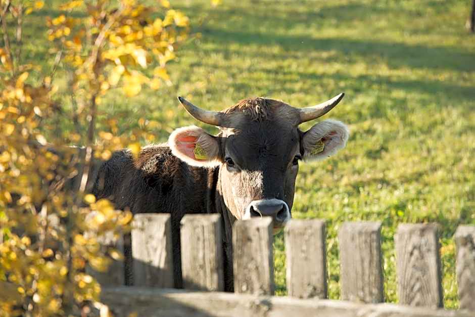 Berggasthof Höchsten