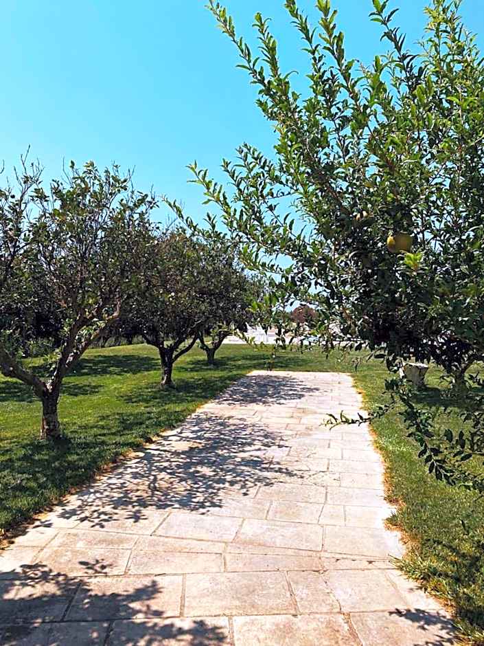 Tenuta degli Agrumi