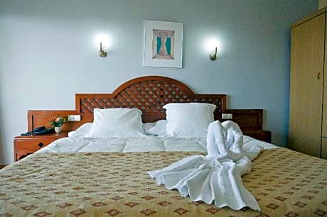 DOUBLE OR TWIN STANDARD