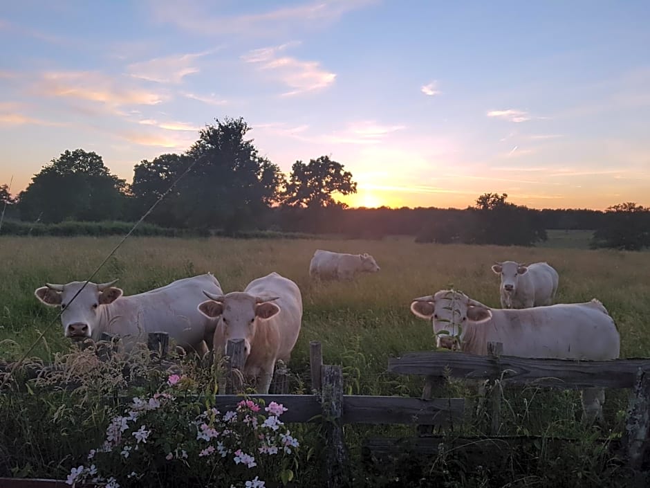 La Lisière du Morvan