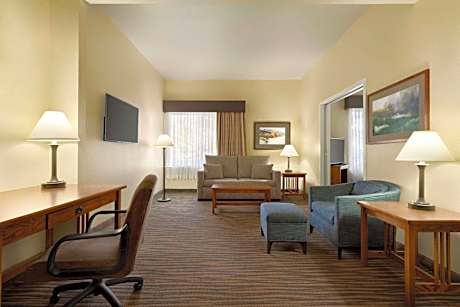 Premier King Suite - Non-Smoking