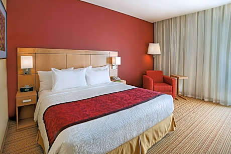 Suite, 1 Bedroom (1 King Bed and 1 Double Sofa Bed)