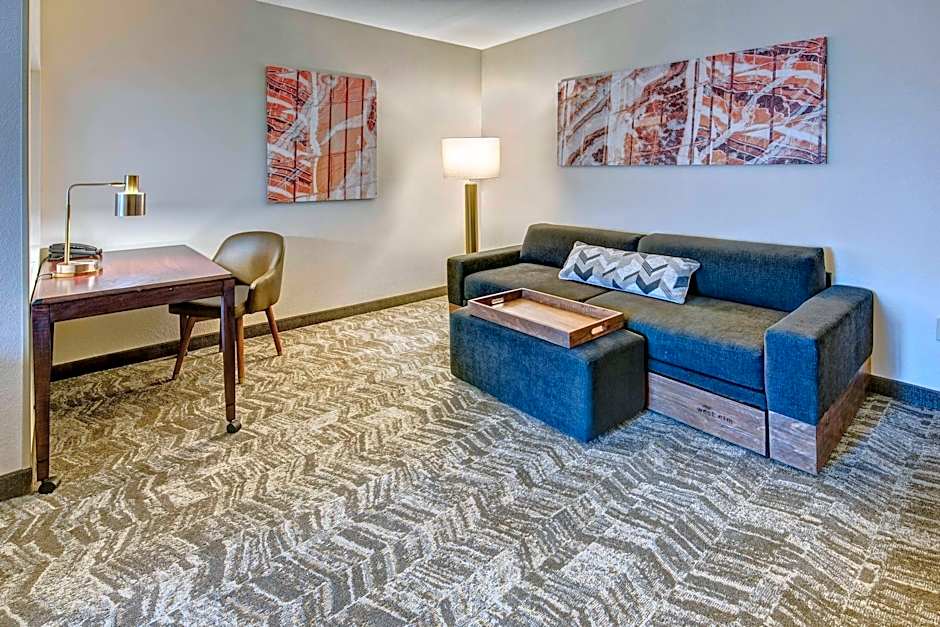 Photo 1 of 2 of Specialty 1 King Bed Suite, Hearing/Mobility Accessible, Roll in Shower, Bathtub