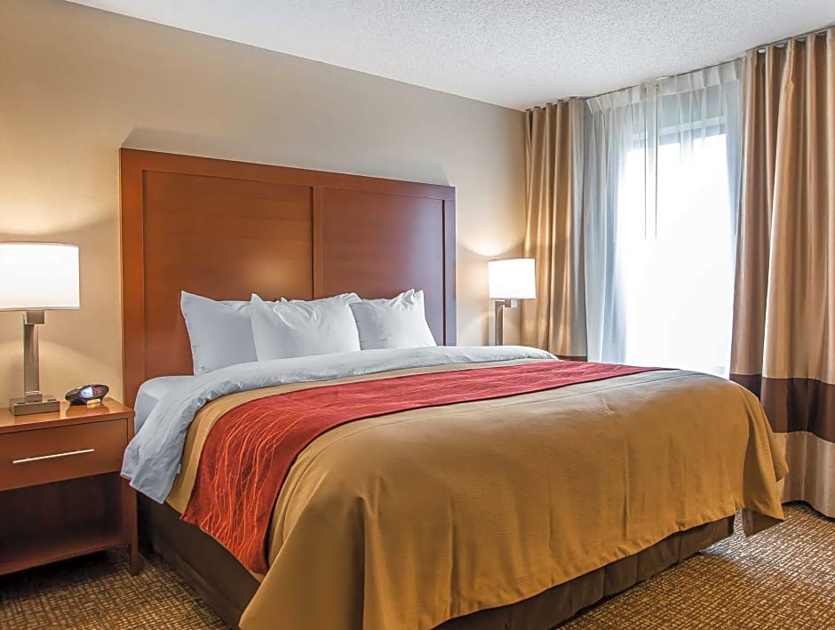 Photo 1 of 7 of 1 King Bed Suite