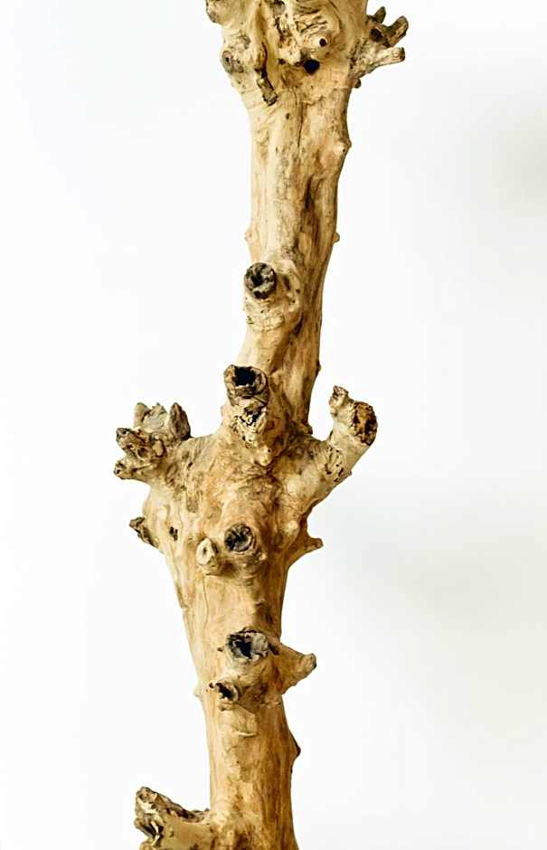 Astro Palace Hotel & Suites