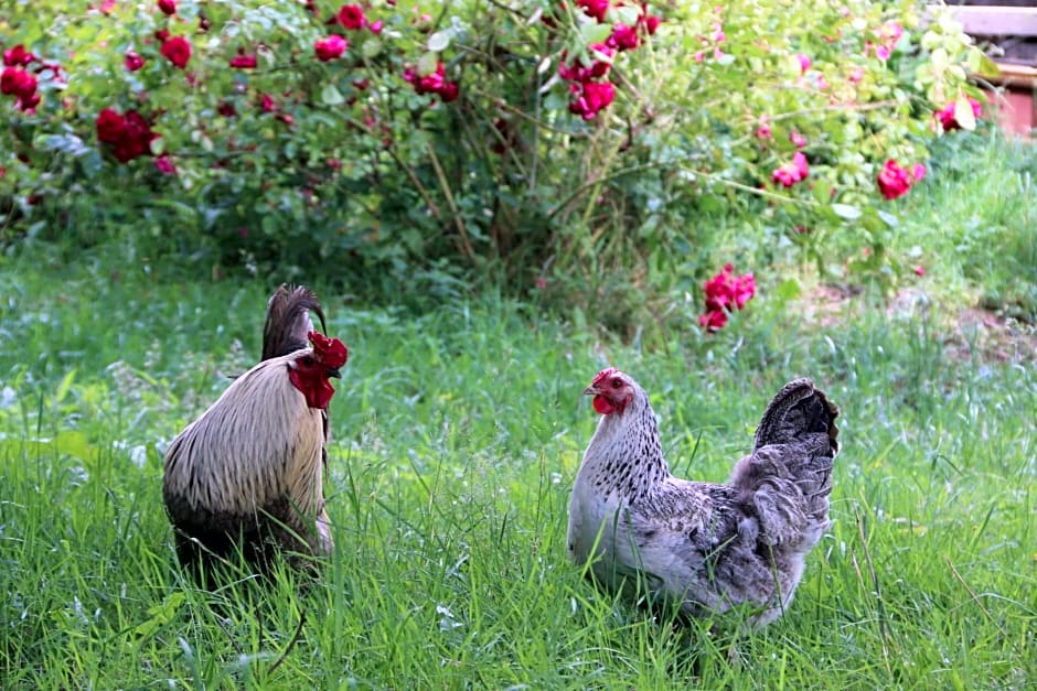 L' écrin de Pradou Glas