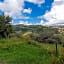Agriturismo Il Poggio degli Scoiattoli