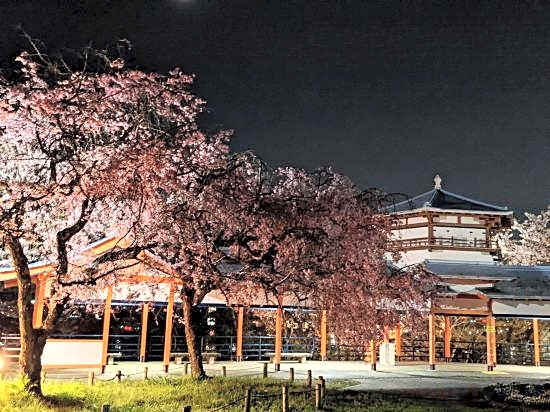 Kawachi No Yado