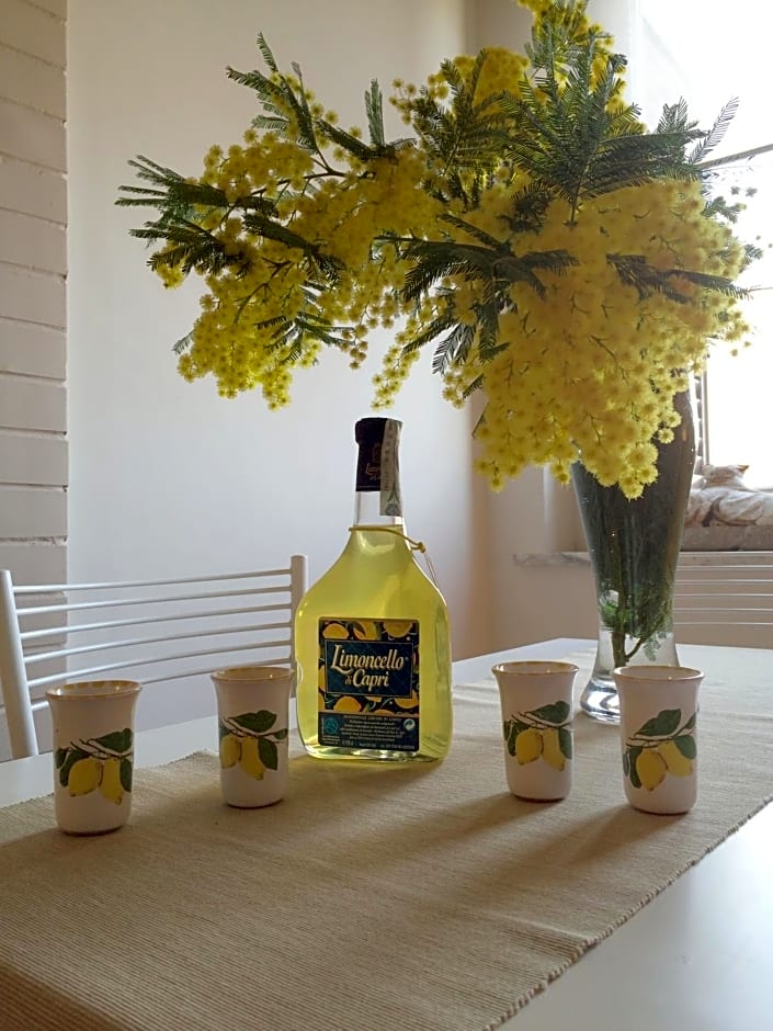 Vesuvio House – Sant' Agnello-Sorrent, CO