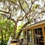 Riverfront Treetop Bungalow