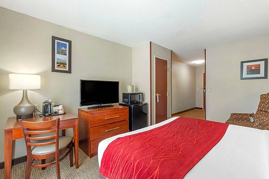 Comfort Inn & Suites Rapid City
