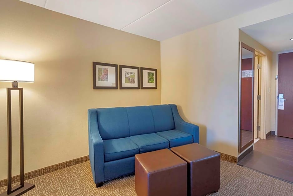 Comfort Suites Fredericksburg