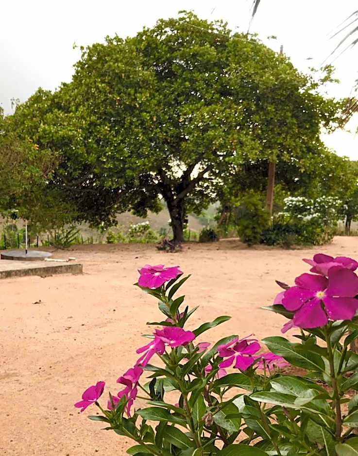 Chalé com Vista Privilegiada