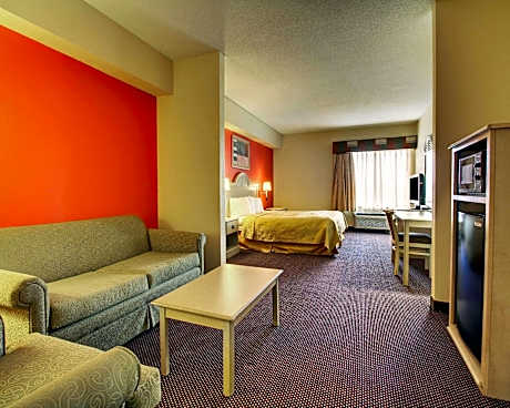 1 King Bed Suite Nonsmoking