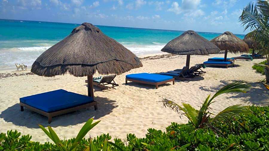 Sol Caribe