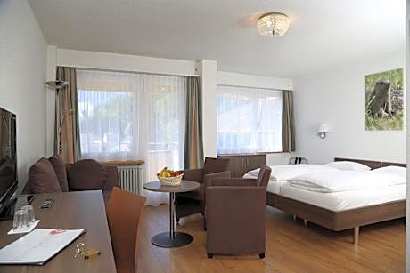 Superior Twin Room with A/C (19m2)