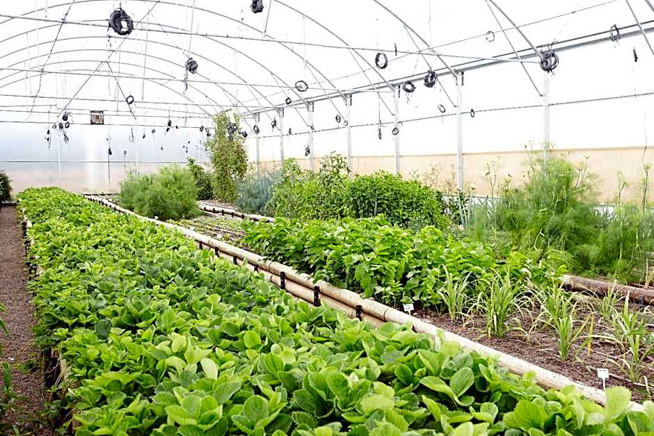 Delaire Graff Lodges and Spa